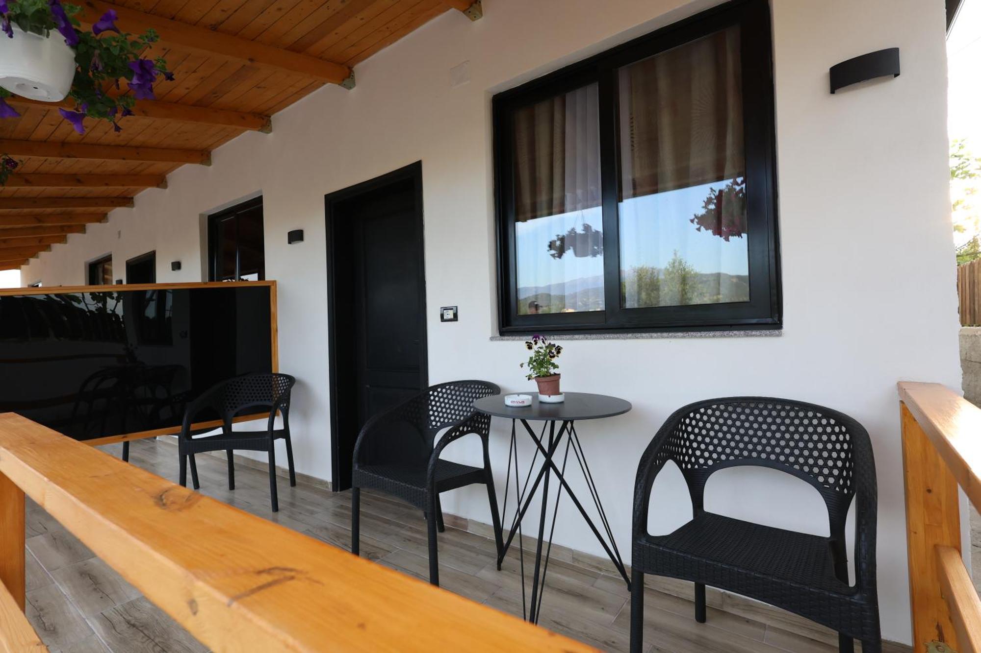 Olive Oasis Studio Berat Extérieur photo